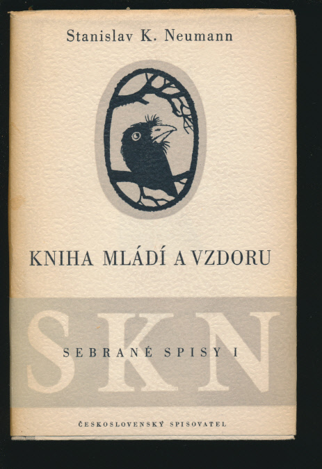 kniha