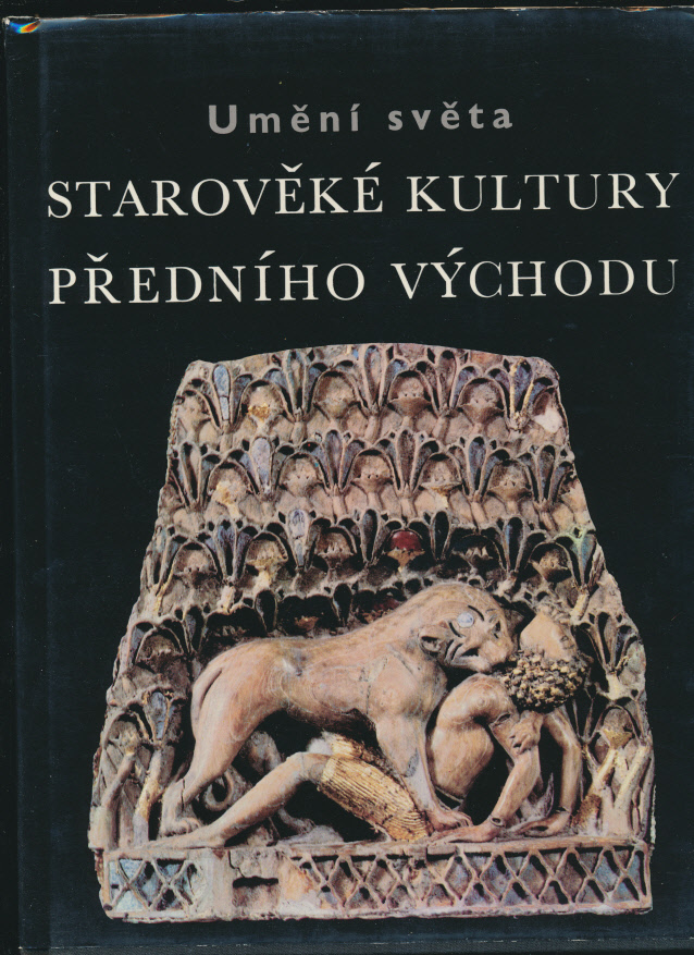 kniha