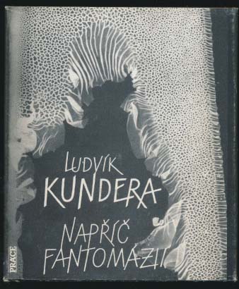 kniha
