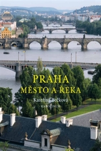 kniha