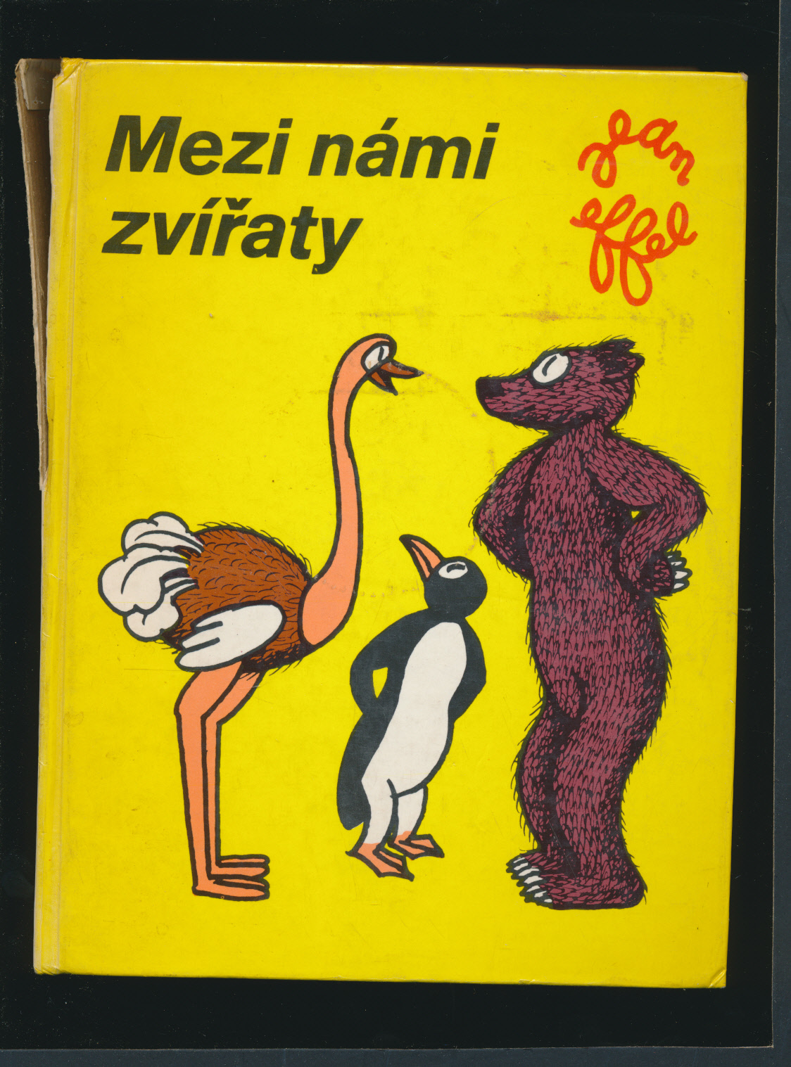 kniha