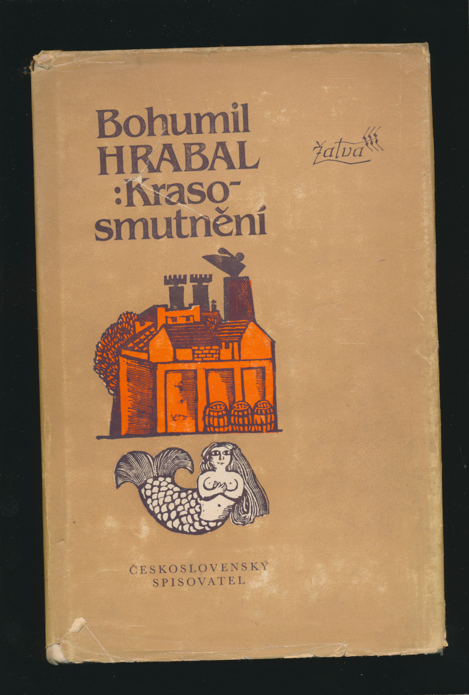 kniha