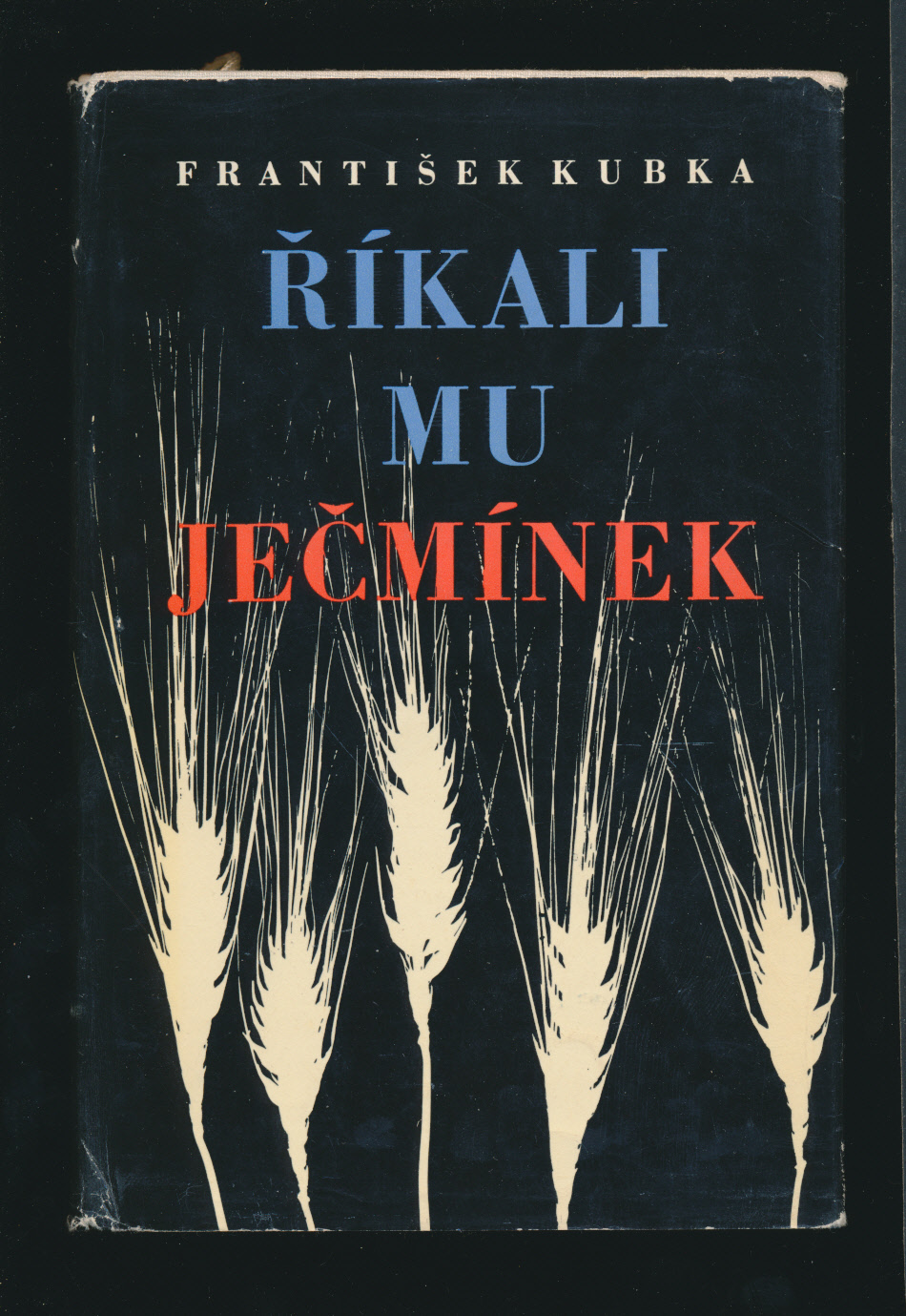 kniha