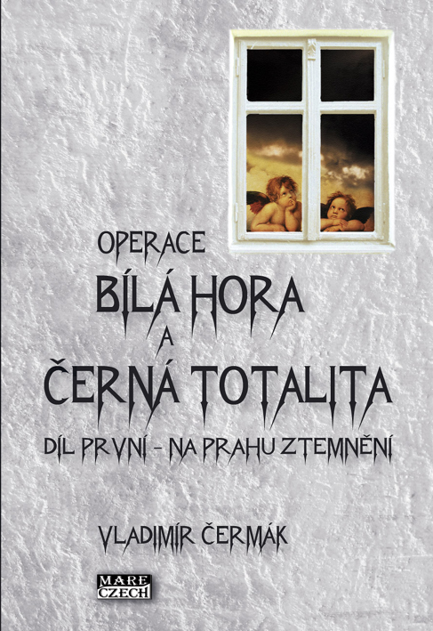 kniha