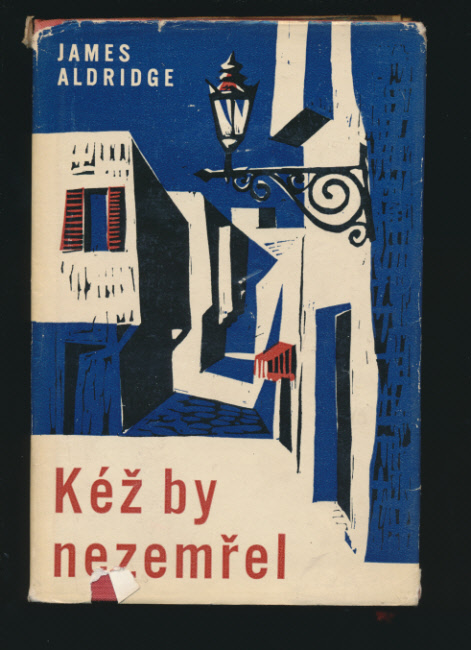 kniha