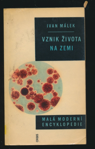 kniha
