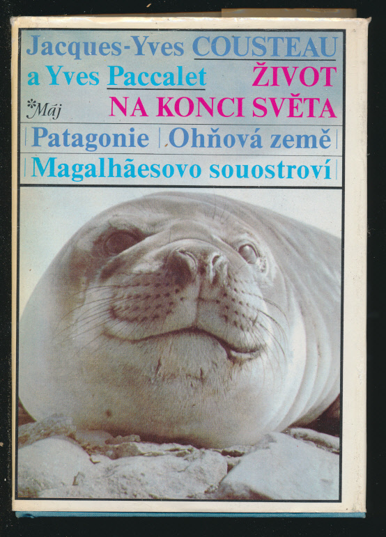 kniha